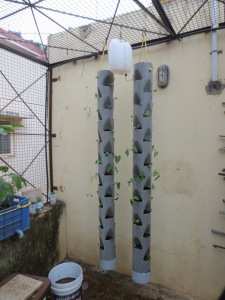 Pipe Garden Ver 2.0  with all plants installed.
